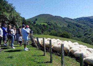 Turismo Baztan visitas guiadas