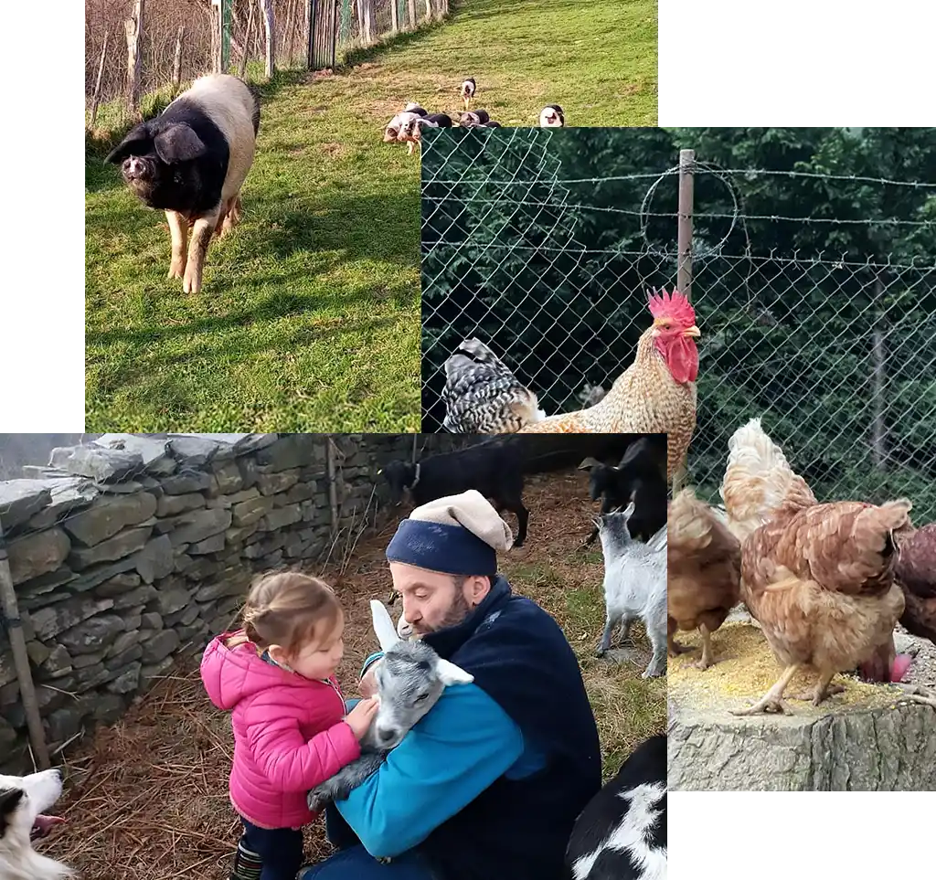 agroturismo_peregarnea