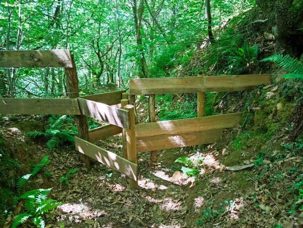 oinaska_30