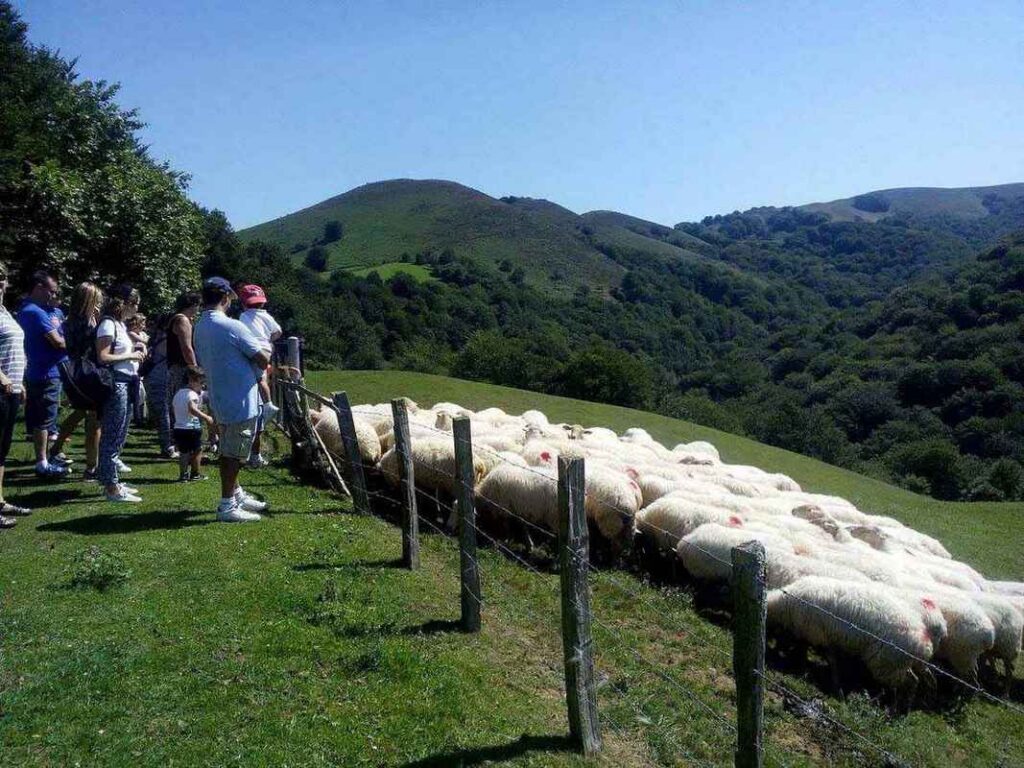 baztanconninos_queserias_10
